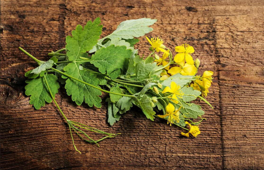 Stinkende gouwe - een geneeskrachtige plant tegen teennagelschimmel